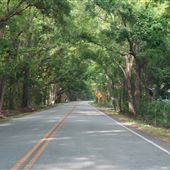 River Road (2) - Bohicket Road to Maybank Hwy.