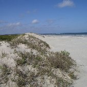 Seabrook Island - Beaches