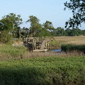 Seabrook Island -  Crab Dock