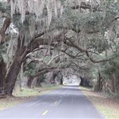 Little Britton Road