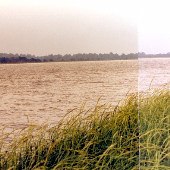 Sea Island- Cedar Island
