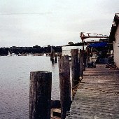 Carolina Seafood Company