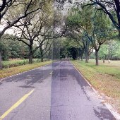 Rowesville Road