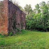 Mead Westvaco - Union Camp