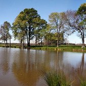 Darby Farms - Ponds
