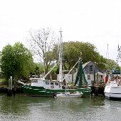 Shrimp Boats