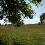 Tirzah Farm & Barn