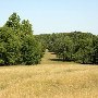 Harper Farm - Smith Place