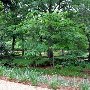 Glencairn Gardens