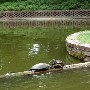 Glencairn Gardens