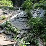 Twin Falls (aka Reedy Cove Falls)