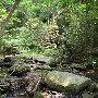 Twin Falls (aka Reedy Cove Falls)