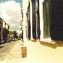 Charleston - General Overview