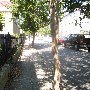 Anson Street - Wentworth to Hasell St