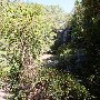 Twin Falls (aka Reedy Cove Falls)