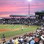 Joseph Riley Ball Park