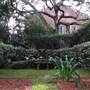 Gardens of Charleston - Hasell St.