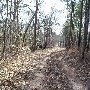 Old Motte-Dirt Roads