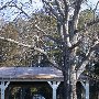 Chester State Park
