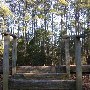 Chester State Park