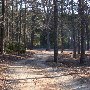 Chester State Park