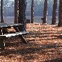 Chester State Park