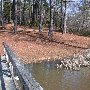 Chester State Park