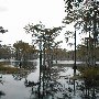 Gaddy's Mill Pond