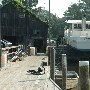 Cathou Fish Market