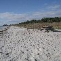 Camp St. Christopher