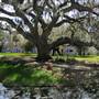 Magnolia Plantation & Gardens FEBRUARY - Slave Cabin 1