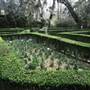 Magnolia Plantation & Gardens FEBRUARY- Flowerdale