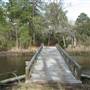 Colleton County - Cottage & Swampy Rice Field