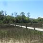Palmetto Islands County Park - 2 Boardwalks to Nature Island - MAY