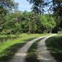 Laurel Hill Plantation / Mt. Pleasant - The Pond (MAY)