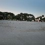 Edisto Beach State Park