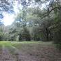 Dungannon Plantation - Cabin Clearing