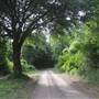 Hamlin Farm - Perimeter