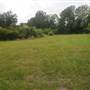 Stono River Stables - Small Hut field