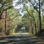 Bennett's Point Road - Airy Hall Entrance Area