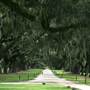 Charleston Region – Rural Dirt Roads