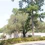 Technical College of the Lowcountry - Bldg. 9 - Academic Support Center - Arts & Sciences