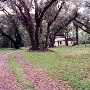 Dunganon Swamp (Cabins/Shacks)