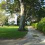 Bennett Street Harbor Homes Neighborhood Looks