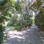 Magnolia Plantation & Gardens - MAY LOOKS - The Wedding Field