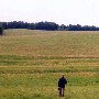 Darby Farms - Pastures