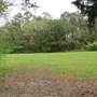 James Island County Park - The Meadows