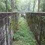 Landsford Canal State Park