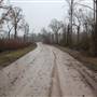 Waccamaw Cove