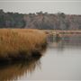 Harrietta Plantation Dec 2017 - North Dikes
